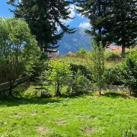 Sienna's Mountain View Apartment Busteni